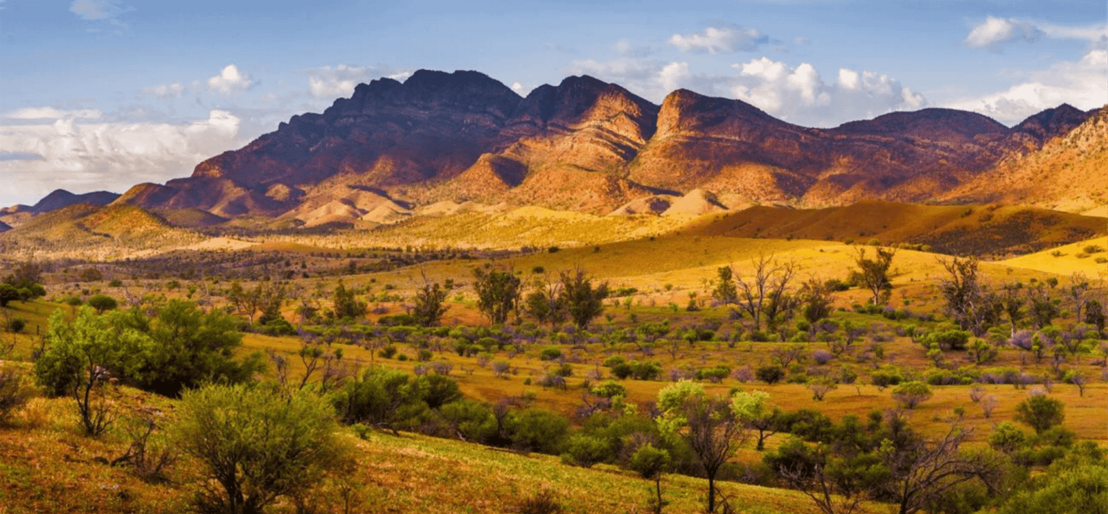 National parks and reserves in Australia with mountains, forest, and pristine coastline