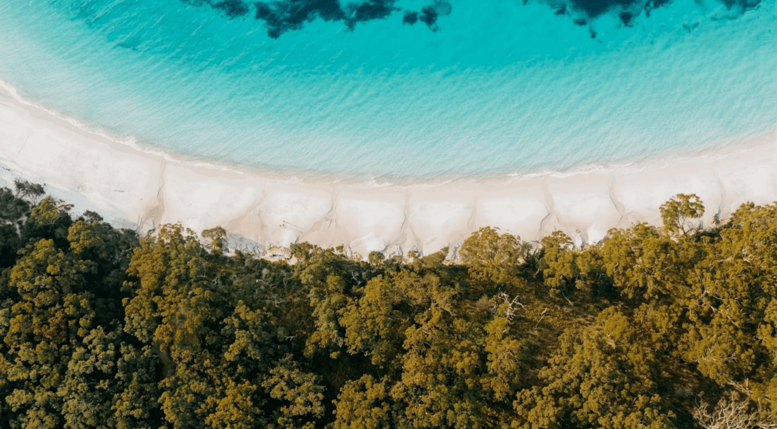 National parks and reserves in Australia with mountains, forest, and pristine coastline