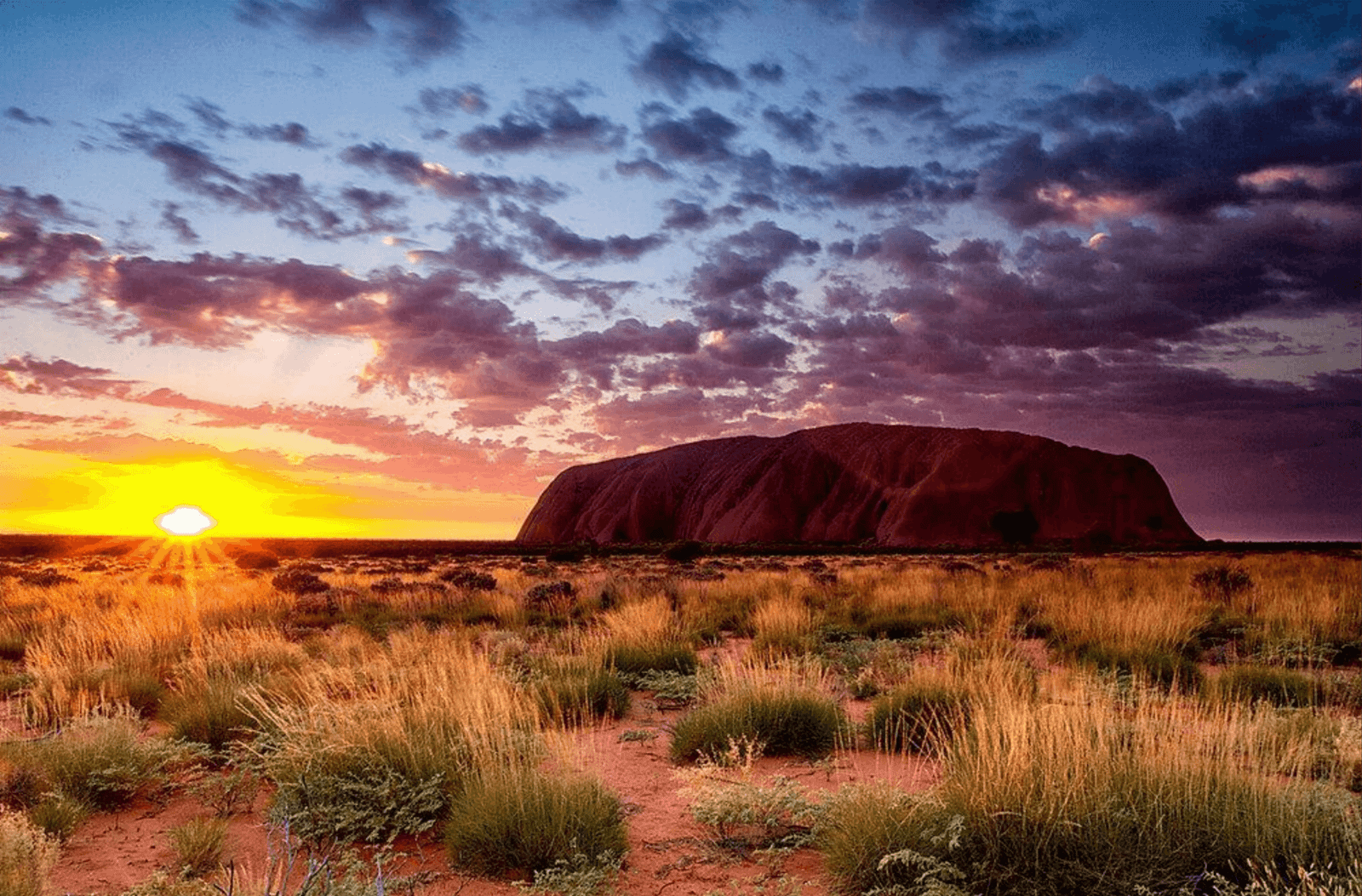 National parks and reserves in Australia with mountains, forest, and pristine coastline